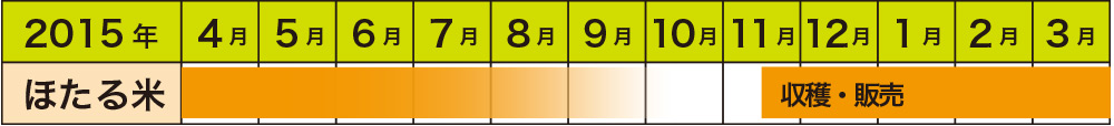 年間栽培予定表