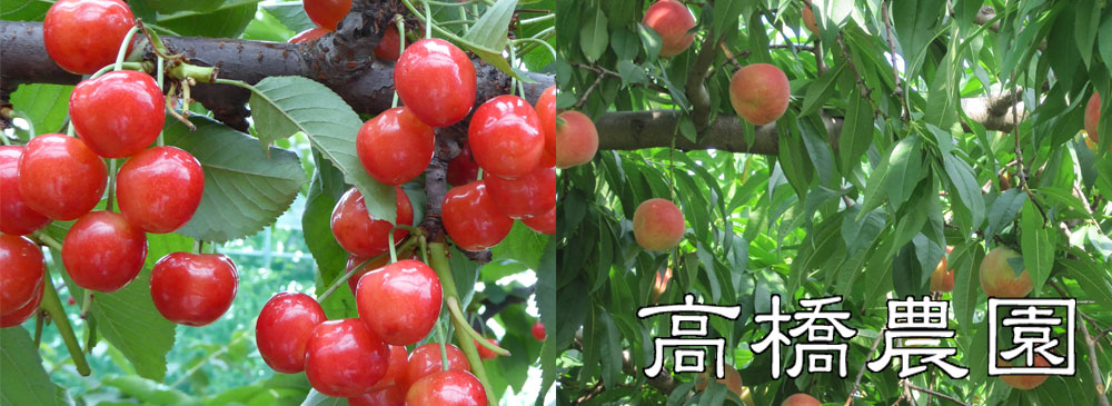 髙橋農園（山形県東根市）