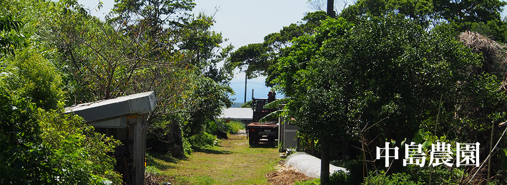 中島農園（鹿児島県大島郡）