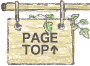 pagetop